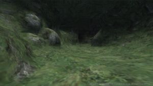 白タルの散歩道